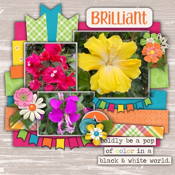 Bright Flowers