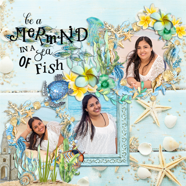 Bright Moments By Miss Fish