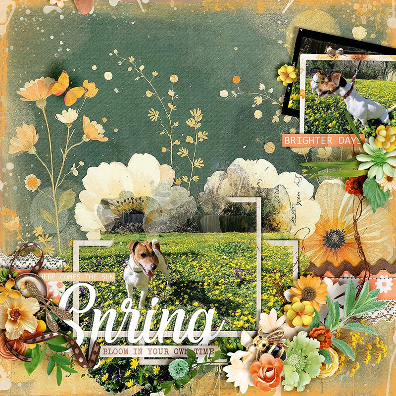 Bright spring