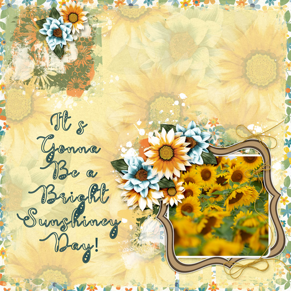 Bright Sunshiney Day