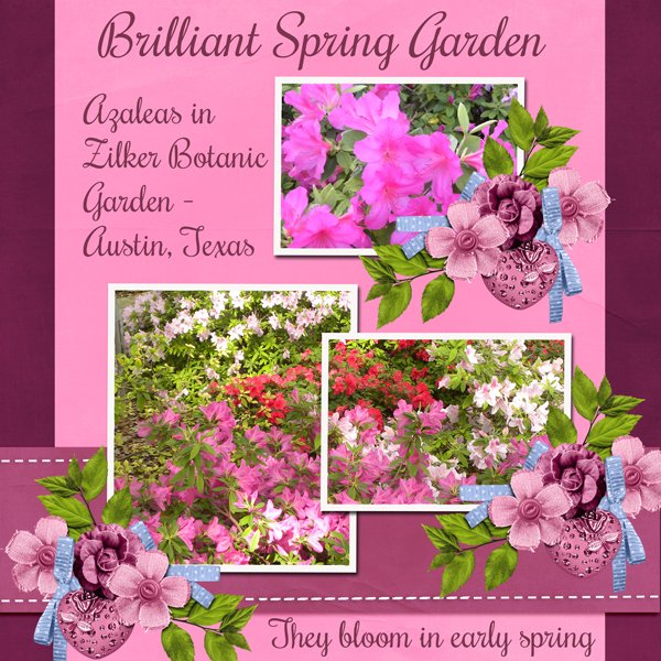 Brilliant Spring Garden
