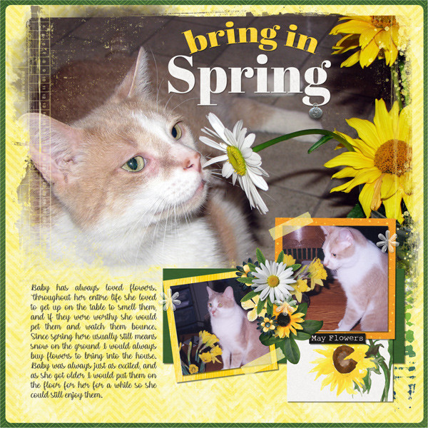 Bring in Spring