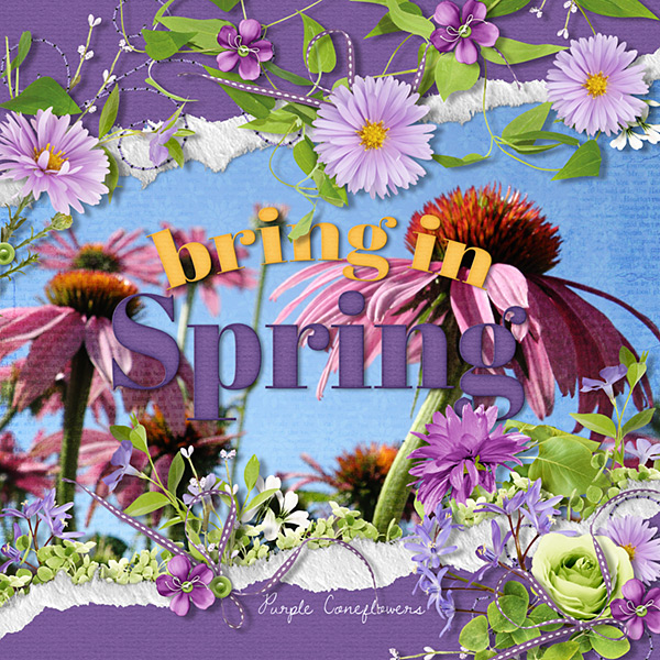 Bring in Spring!