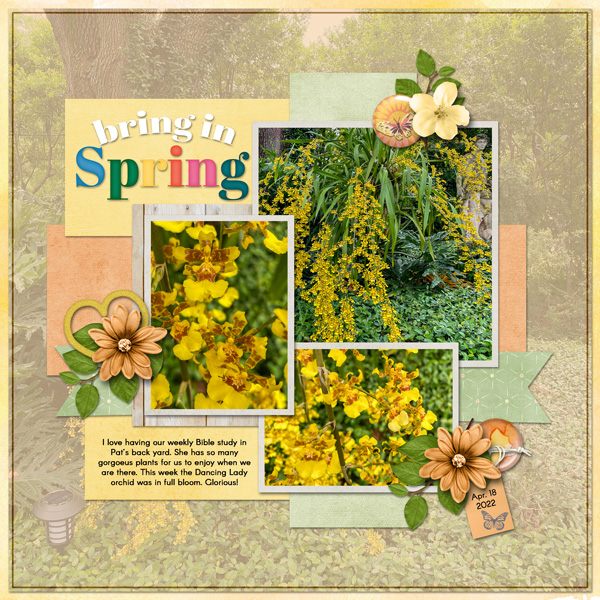 Bring in Spring