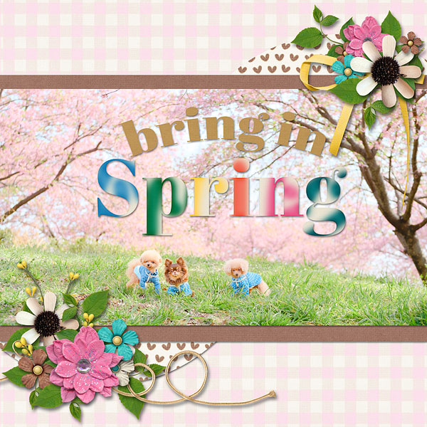Bring In Spring