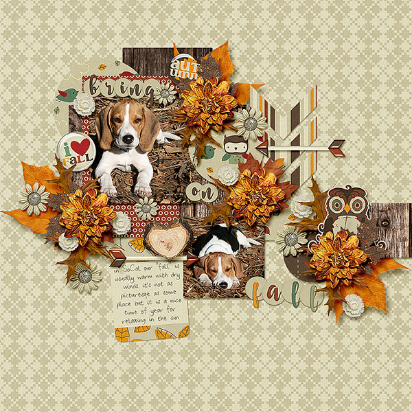 bring on fall