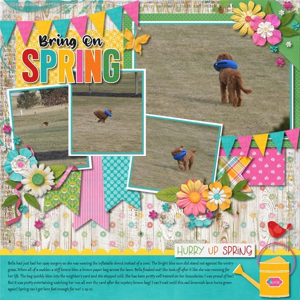 Bring on Spring