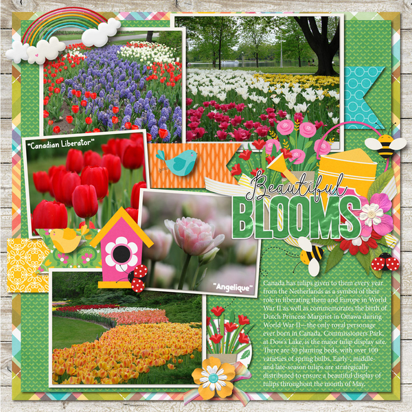 Bring On Spring