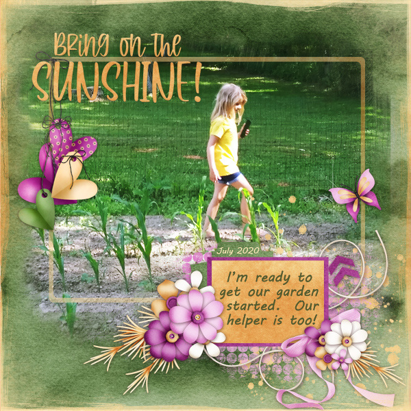 Bring on the Sun