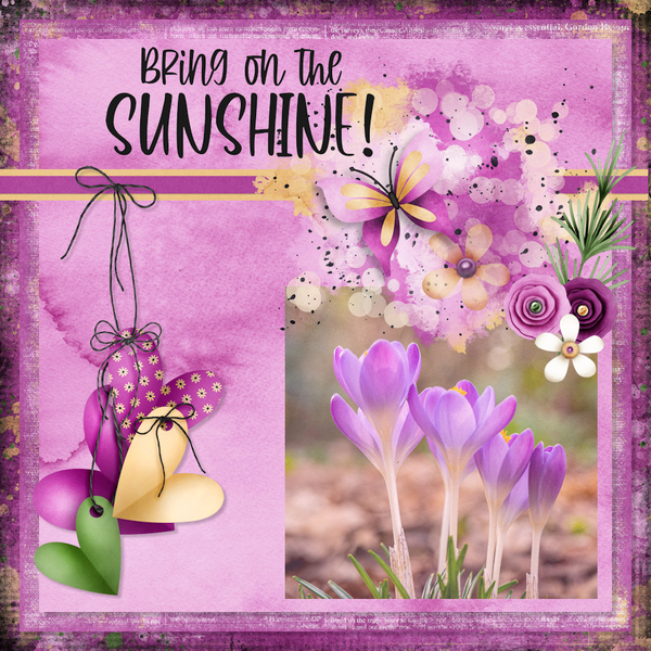 Bring On The Sunshine