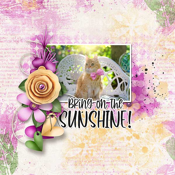Bring On The Sunshine