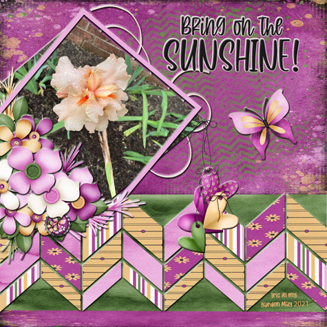 Bring On The Sunshine!