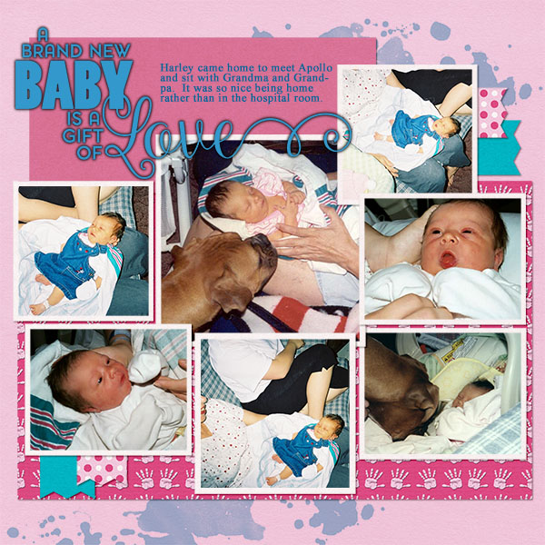 Bringing Baby Home