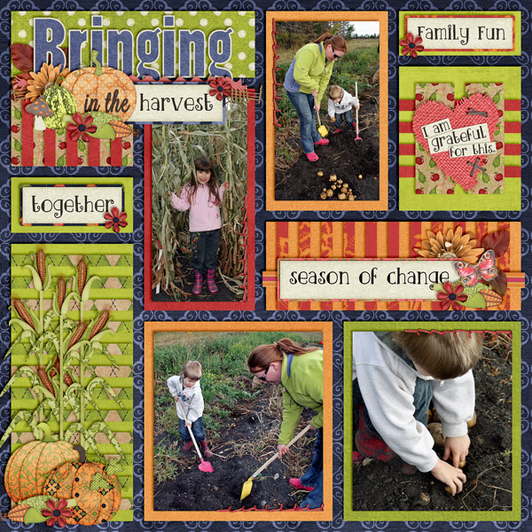 Bringing In The Harvest