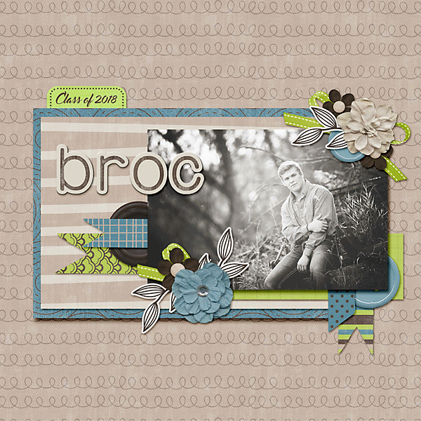 Broc