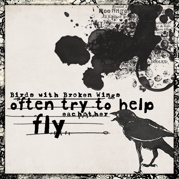 Broken Wing Bird