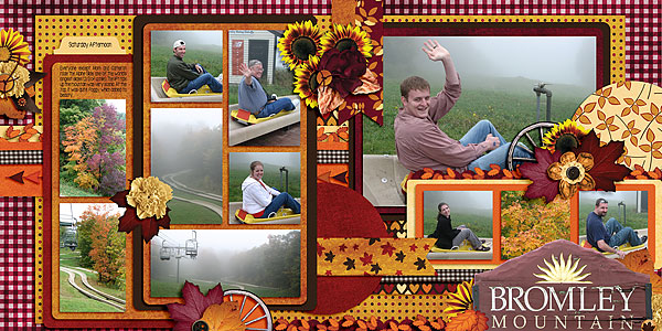 Bromley Mountain Alpine Slide
