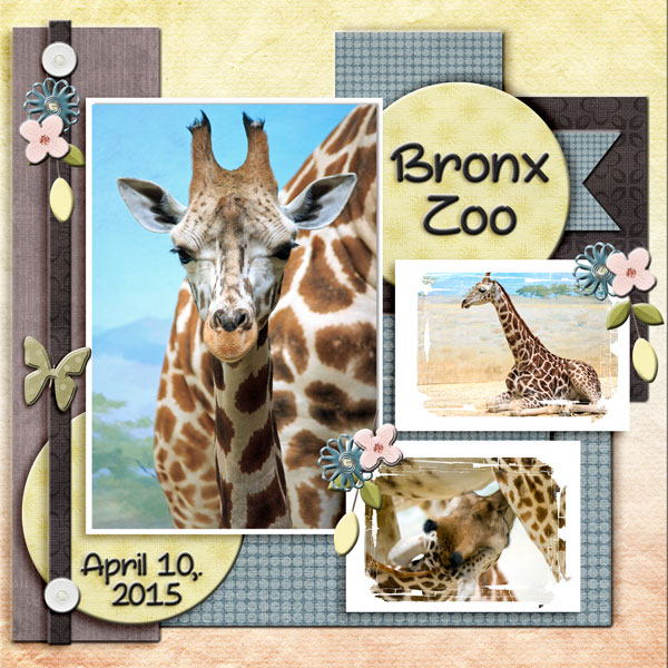 Bronx Zoo 2015