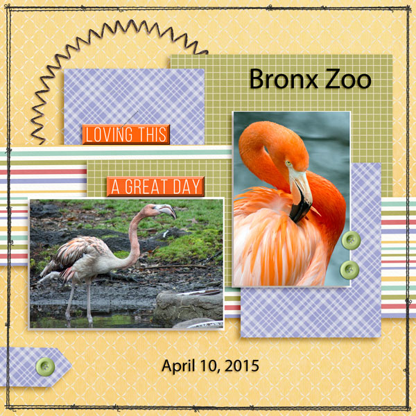 Bronx Zoo