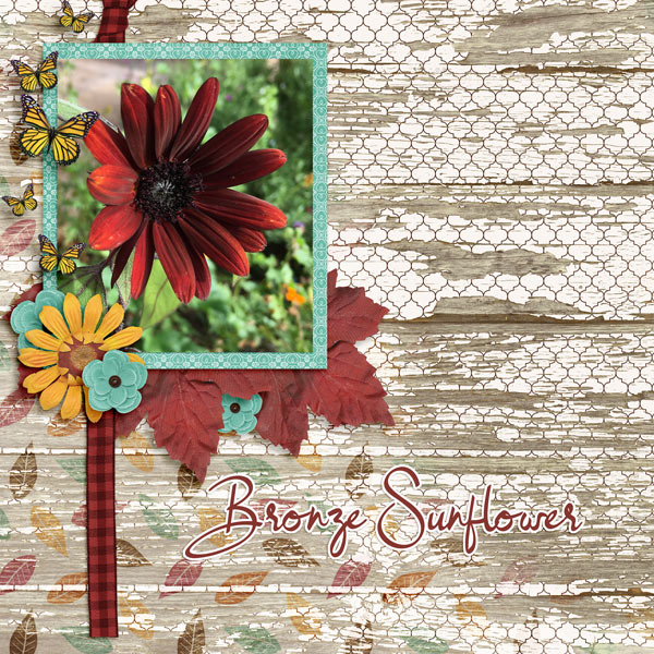 Bronze Sunflower