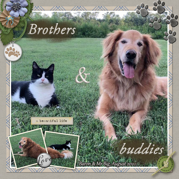 Brothers and Buddies