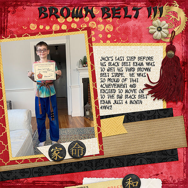 Brown Belt III