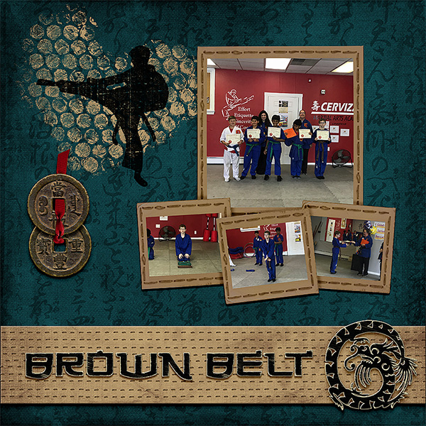 Brown Belt