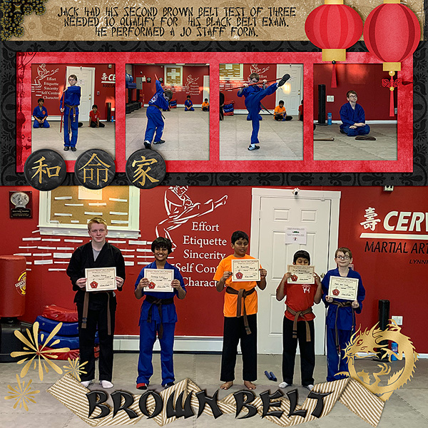 Brown Belt