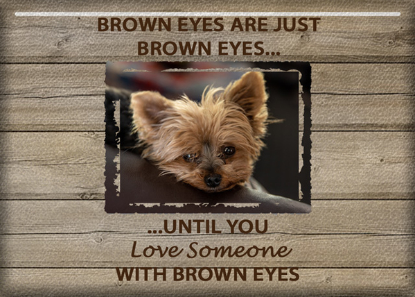 Brown Eyes