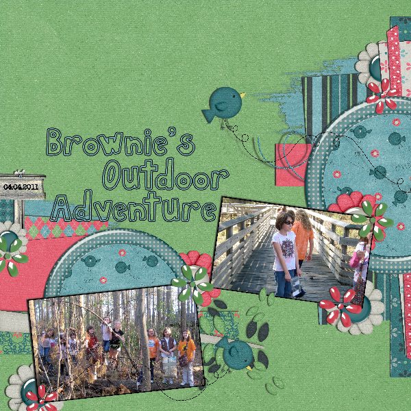brownie adventure