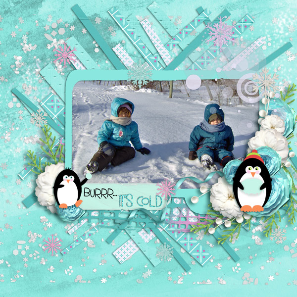 Brrr....It's Cold!