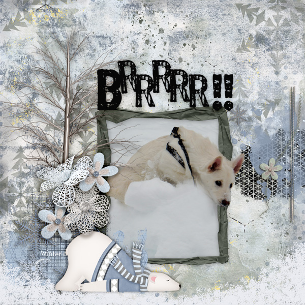 Brrr14