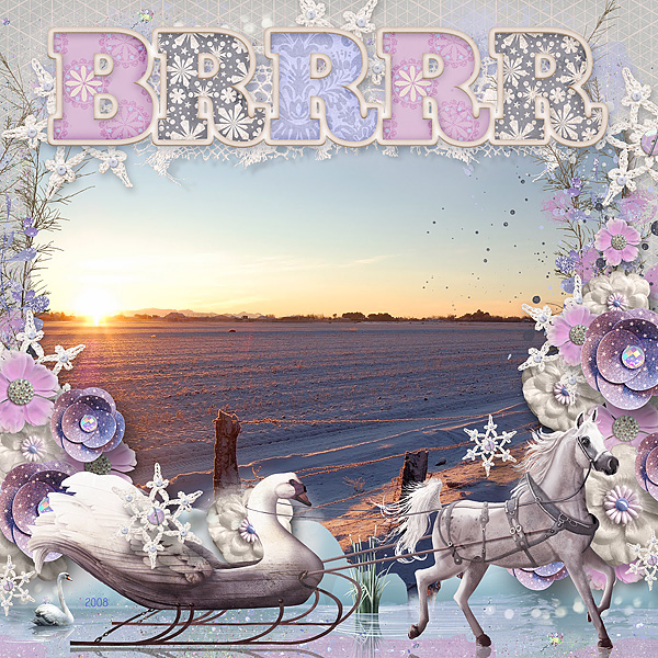 Brrrr Snowy Field