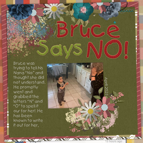 Bruce Says No
