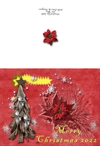 Brush Challenge Dec 2022
