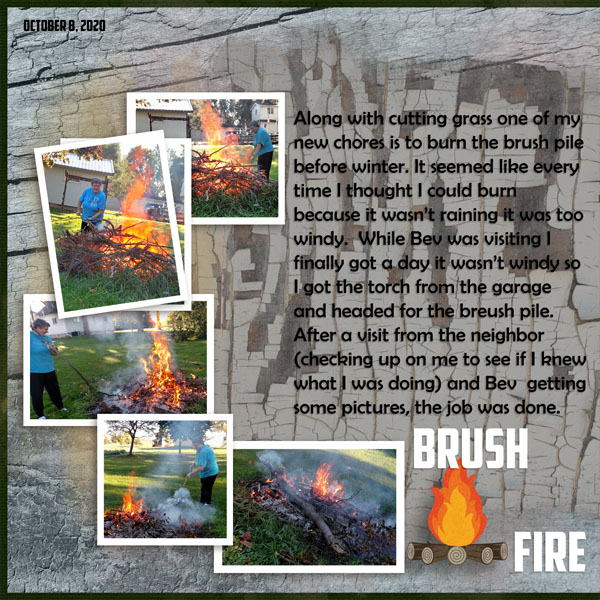 Brush_Fire