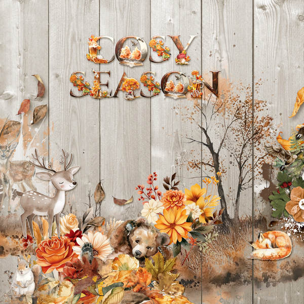 BS_autumnal_cosyseason