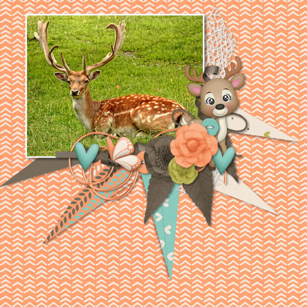Buck