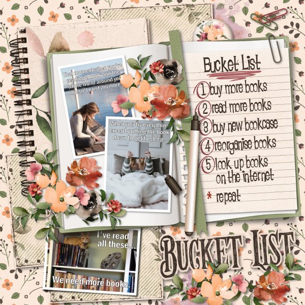 bucket list
