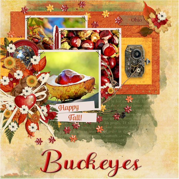 Buckeyes