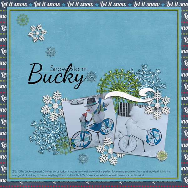 Bucky