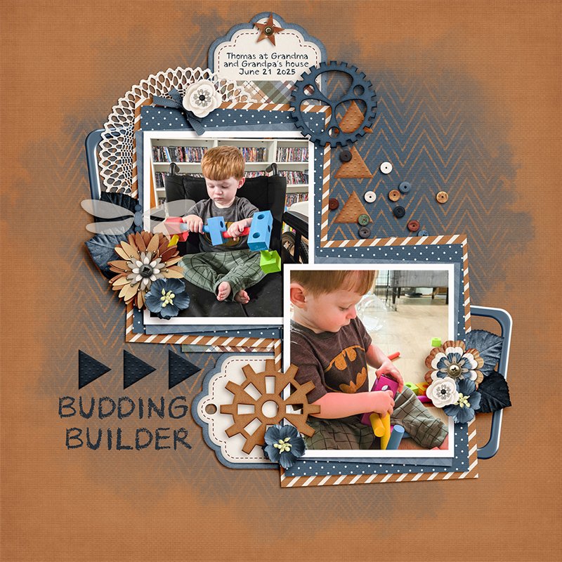 Budding-Builder-small.jpg
