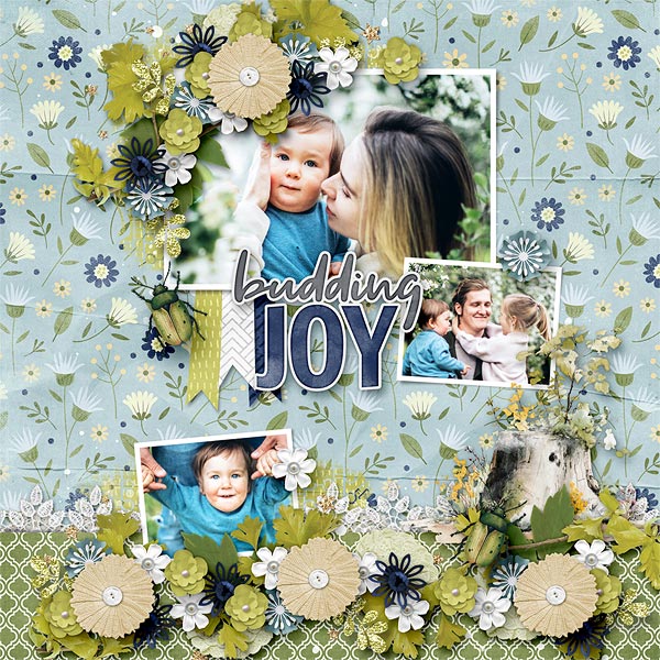 Budding Joy