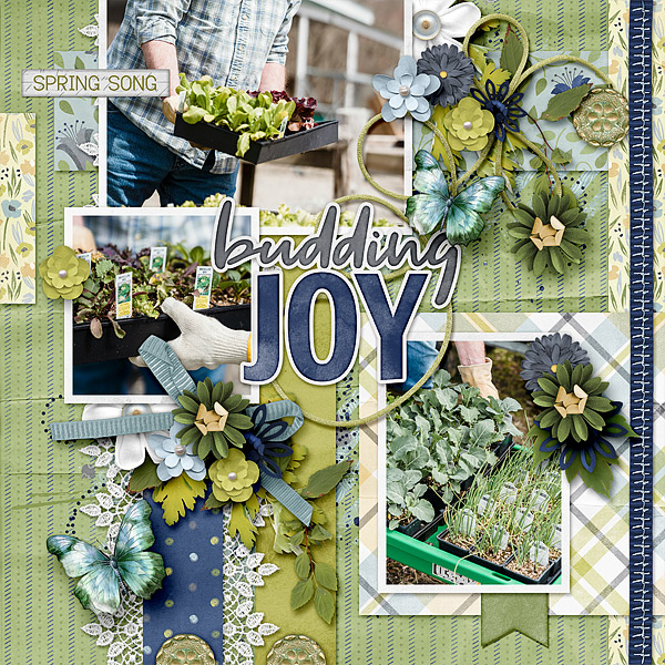 Budding Joy