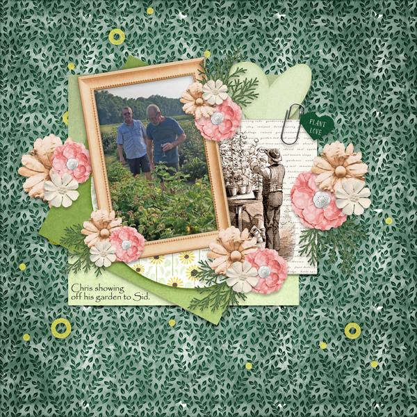 Budding Romance-ScrapChat