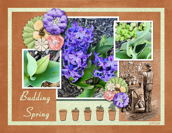 Budding Spring