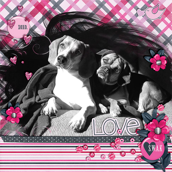 Buddy Love