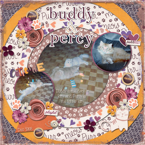 Buddy + Percy