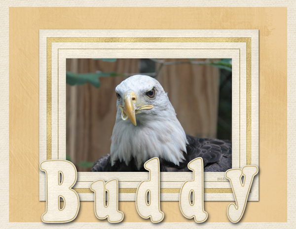 Buddy