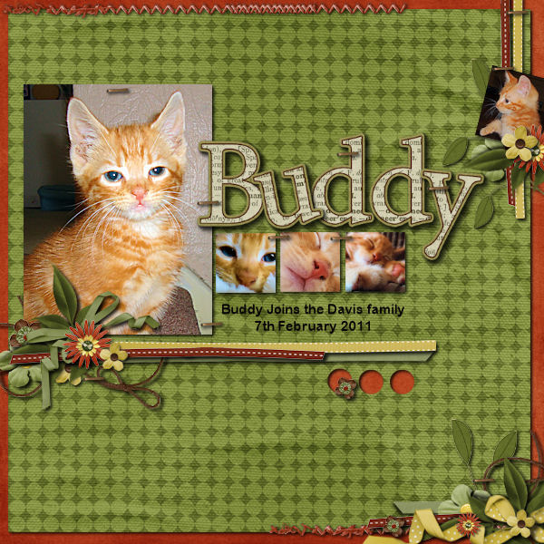 Buddy